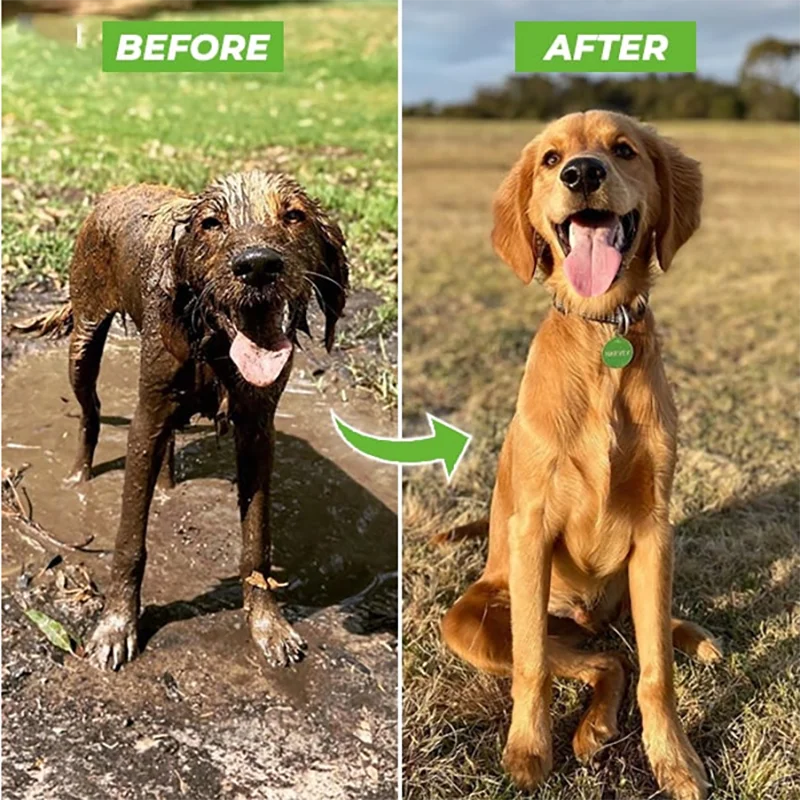 Adjustable Pet Wash Sprayer – Foam & Rinse Hose Attachment for Dogs